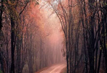 天涯论坛刷屏的十大神贴,这些年都让我热血沸腾!