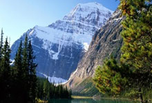 天涯论坛刷屏的十大神贴,这些年都让我热血沸腾!